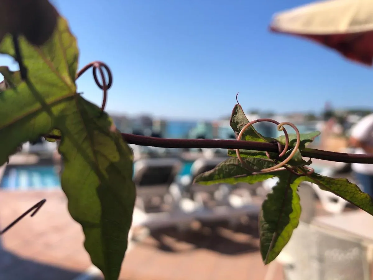 Hotel Astoria Park Lloret de Mar 4*,